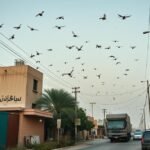 مكافحة حشرات حي الورود بجدة